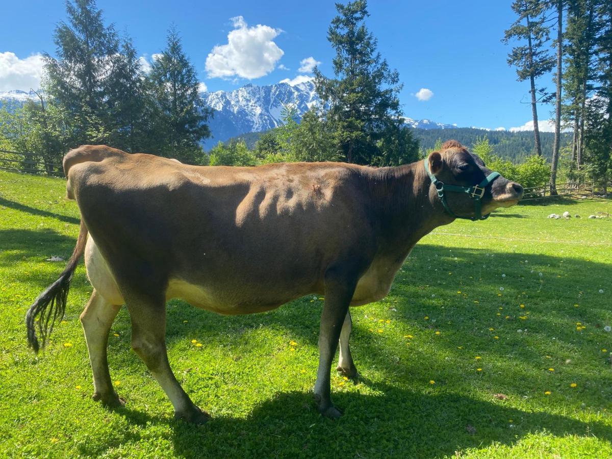 Sweetwater Lane Farm Villa Mount Currie Luaran gambar