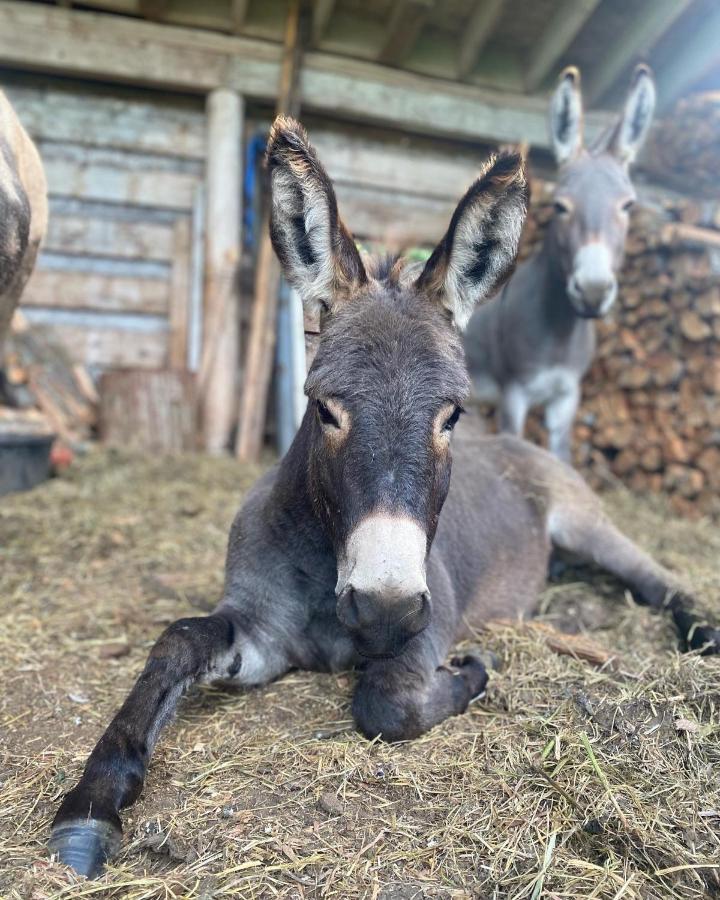 Sweetwater Lane Farm Villa Mount Currie Luaran gambar