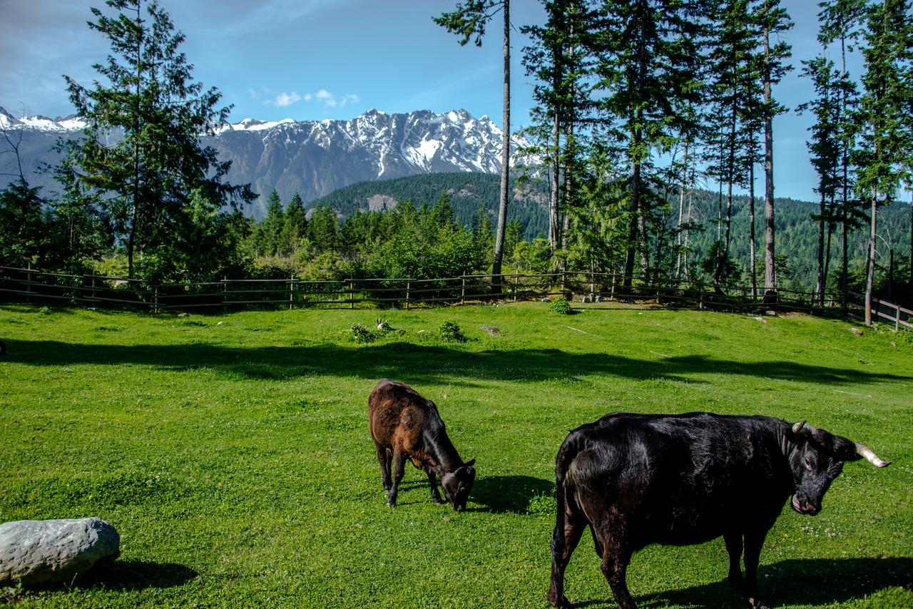 Sweetwater Lane Farm Villa Mount Currie Luaran gambar