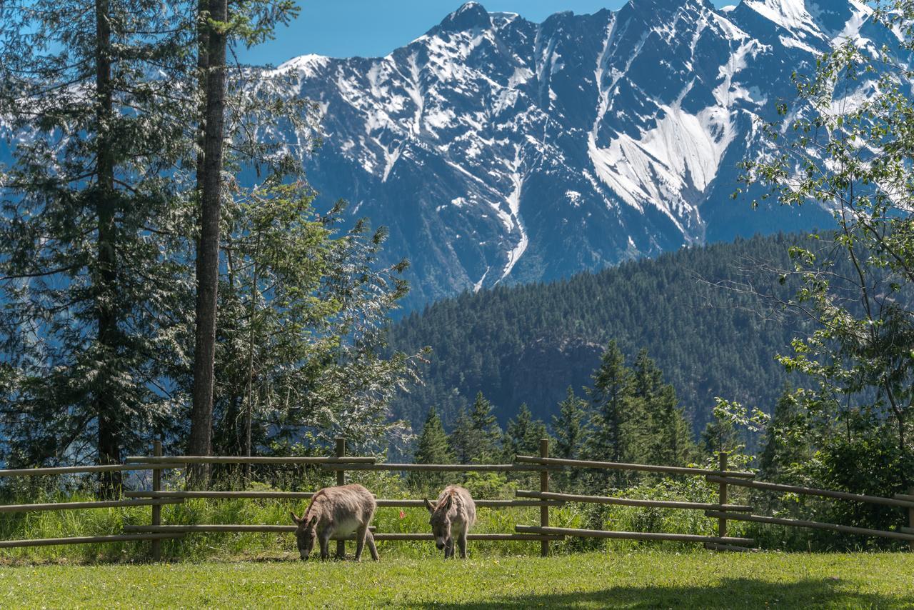 Sweetwater Lane Farm Villa Mount Currie Luaran gambar