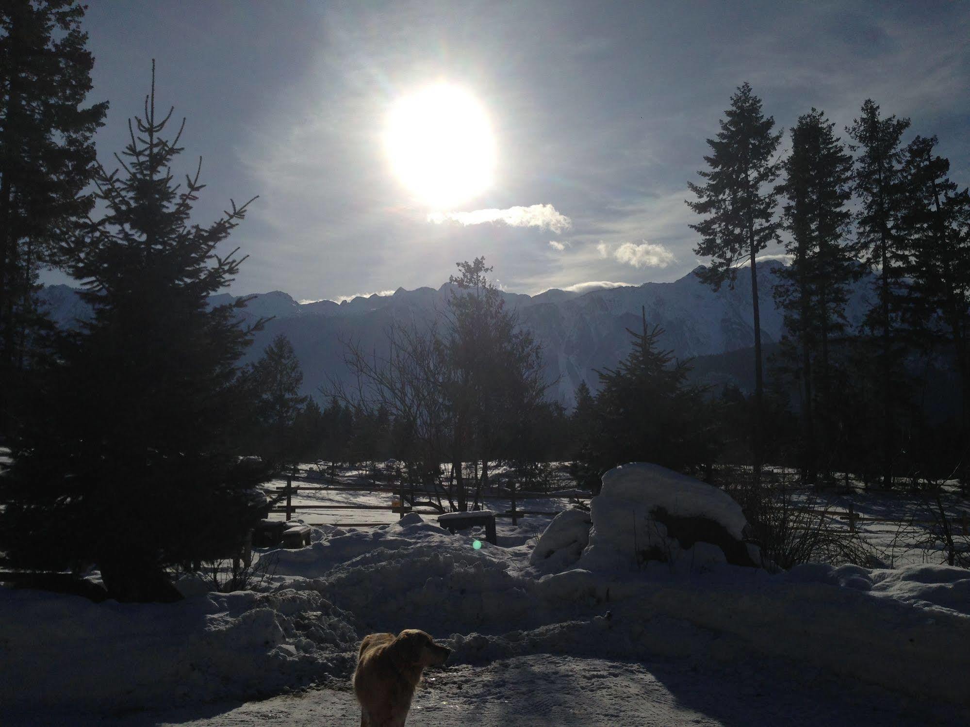 Sweetwater Lane Farm Villa Mount Currie Luaran gambar