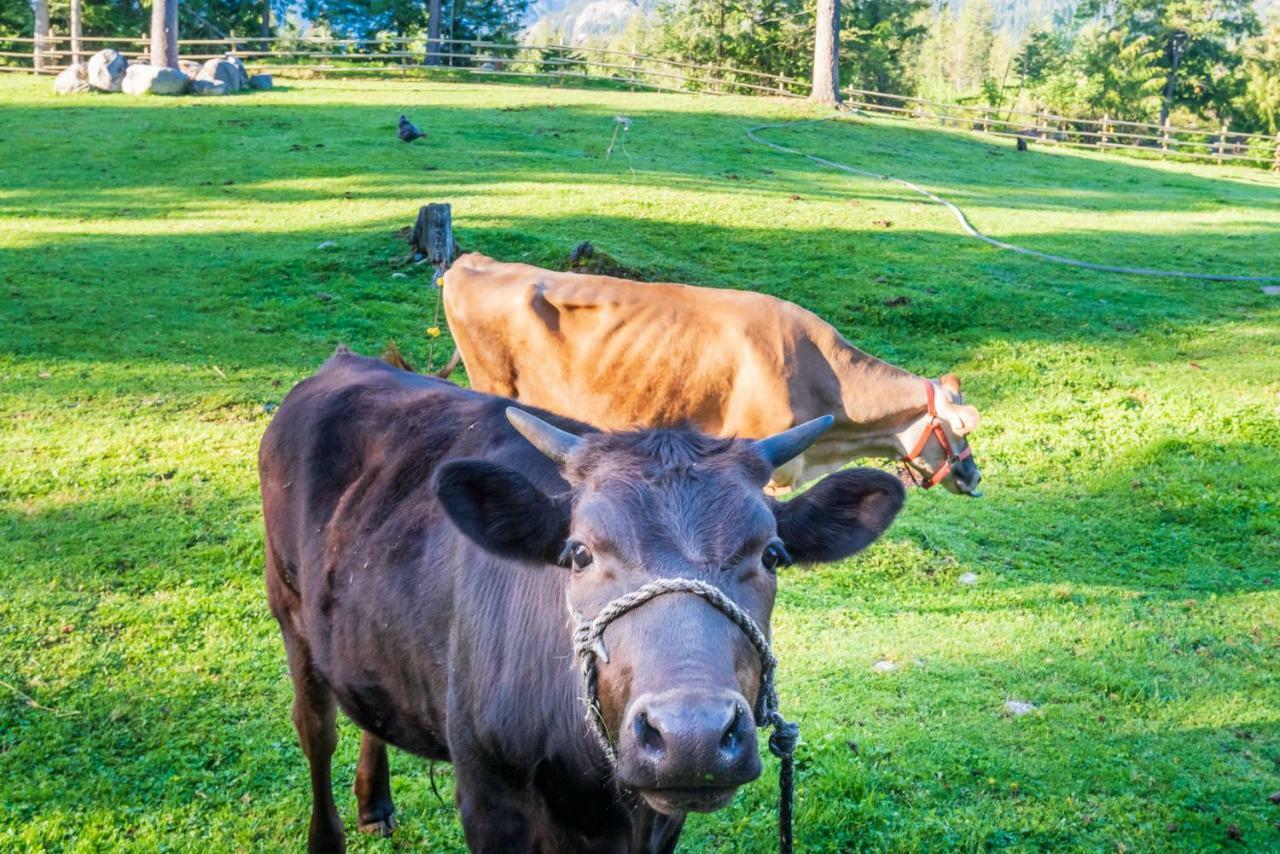 Sweetwater Lane Farm Villa Mount Currie Luaran gambar